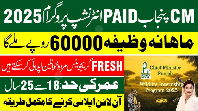  CM Punjab Internship Program 2025 for Fresh Graduates
