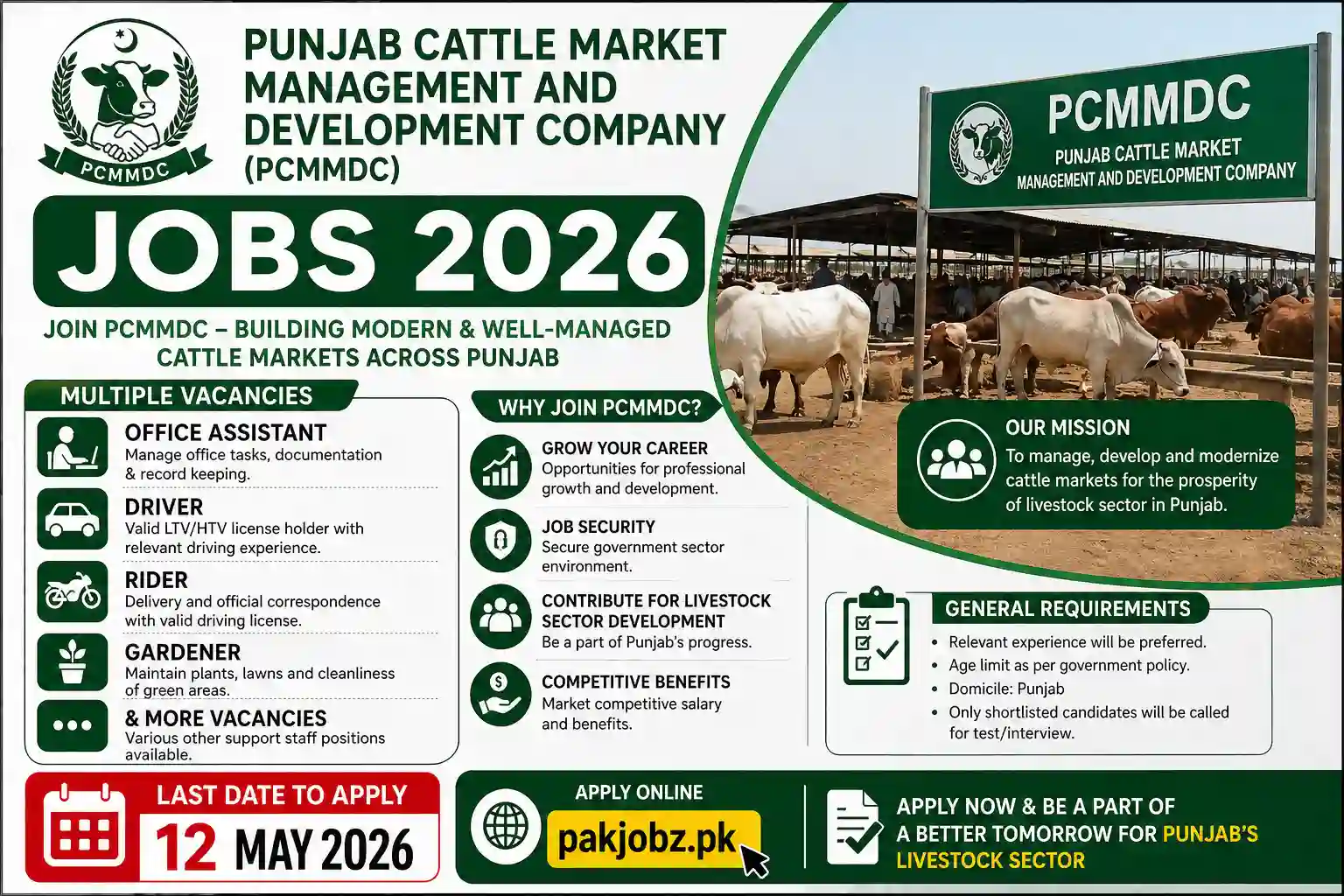 PCMMDC Jobs 2026 Lahore & Punjab Social Image