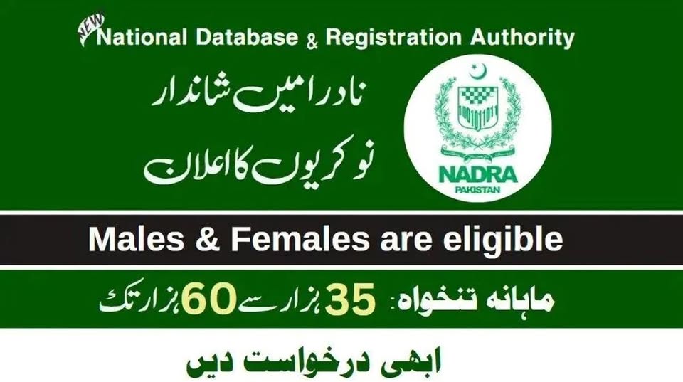 NADRA Jobs 2025 – Junior Executive 