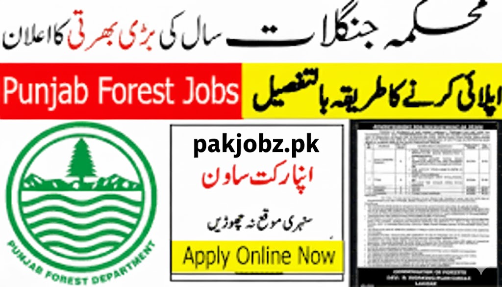 PM&E Wing Forest Department Punjab Jobs 2026