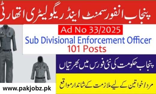 PERA SDEO Jobs 2025 ppdc job Online Apply
