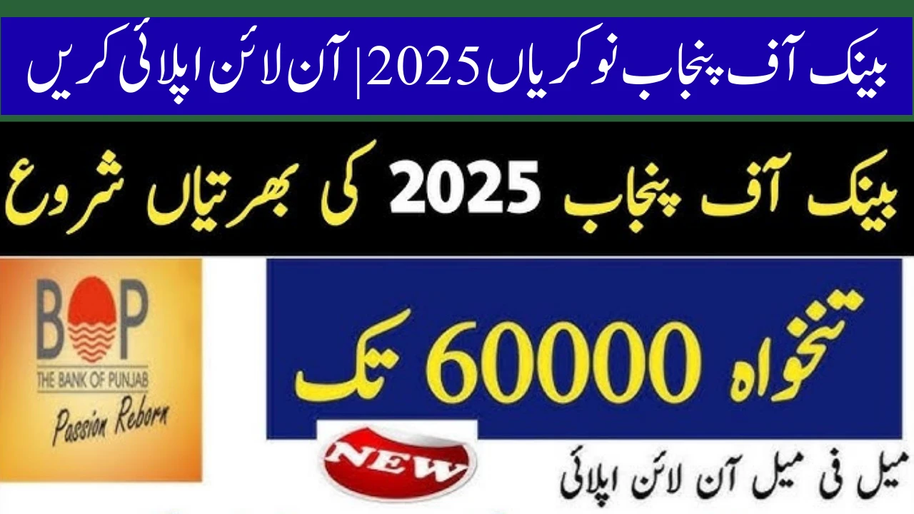  Assistant Product Manager Debit Cards | Bank of Punjab Jobs 2025 