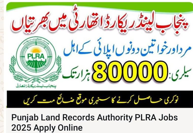  Punjab Land Record Authority Jobs 2025 Latest Advertisement