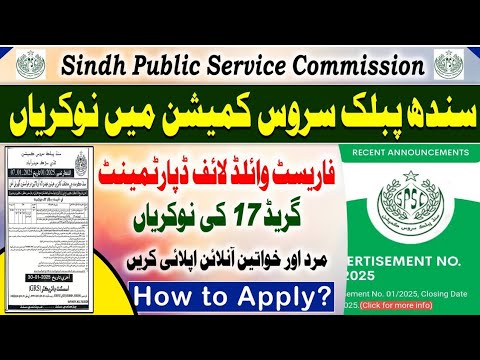 Sindh Public Service Commission SPSC Jobs 2025 – Senior & Law 