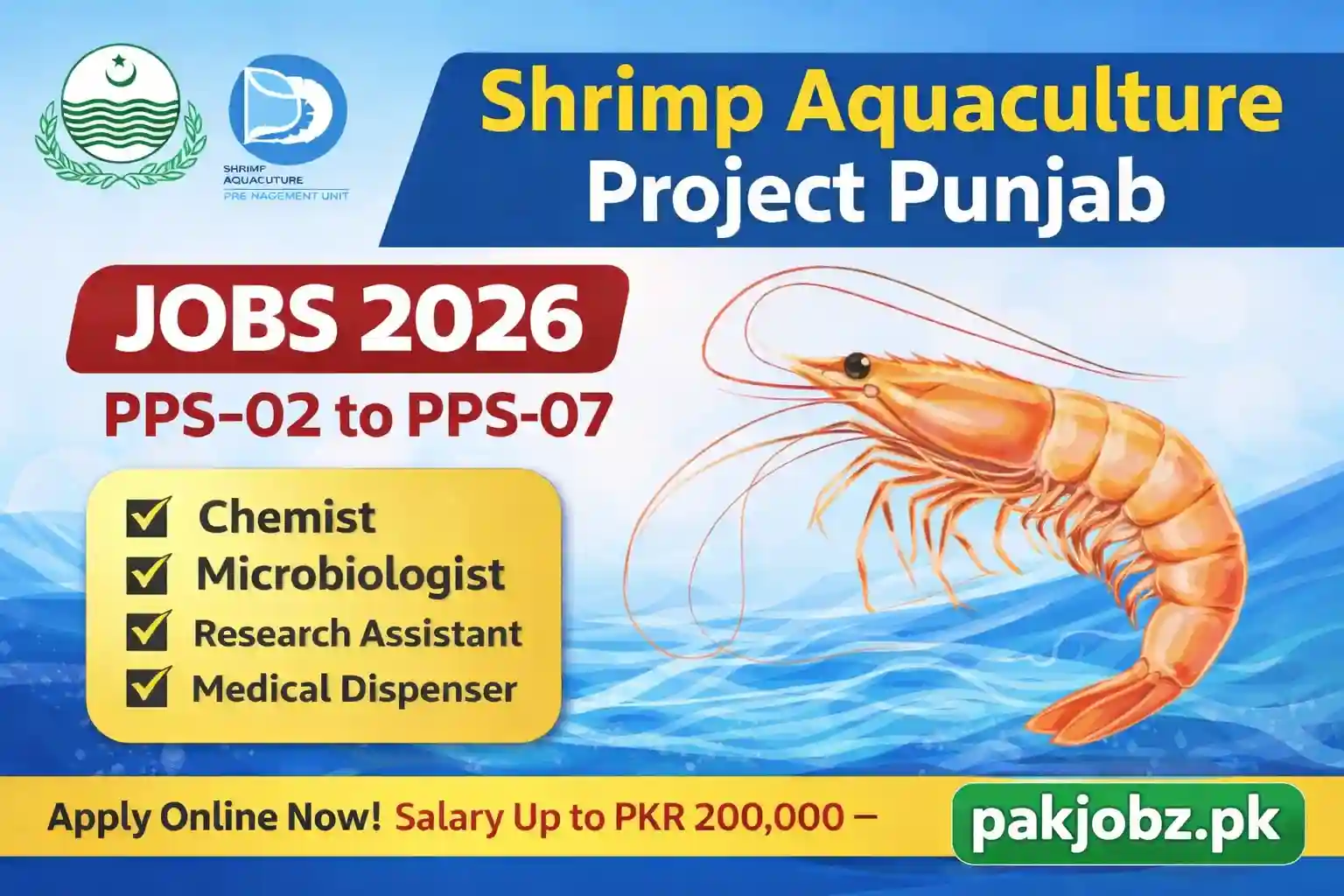 Shrimp Aquaculture Project Punjab Jobs
