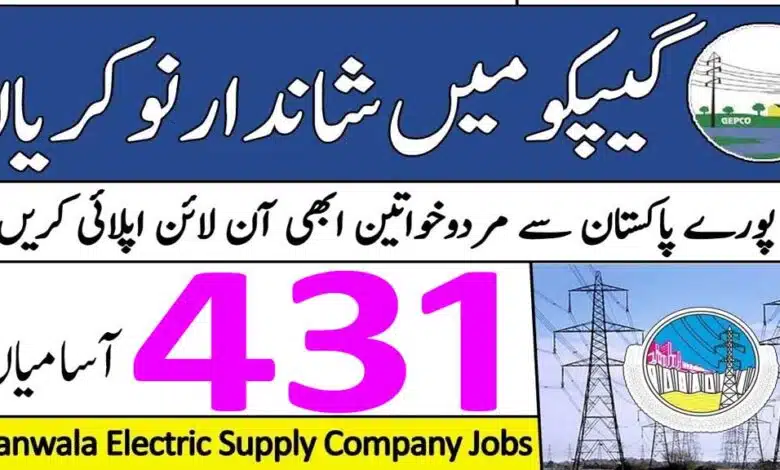 WAPDA Jobs 2025 and Chief Logistic Officer